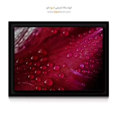 تابلو مناسب سالن اسپا و زیبایی - گلبرگ انتزاعی – تابلو گل - اسپو دکور