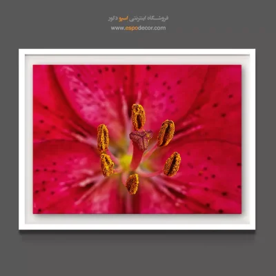 خرید تابلو انتزاعی - سوسن با پرچم‌ طلایی – تابلو گل - اسپو دکور