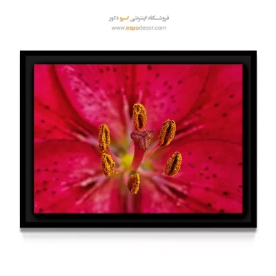 خرید تابلو انتزاعی - سوسن با پرچم‌ طلایی – تابلو گل - اسپو دکور