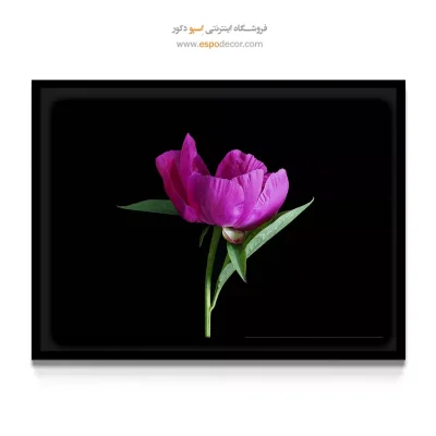 تابلو دفتر کار زنانه - پیونی – تابلو گل - اسپو دکور