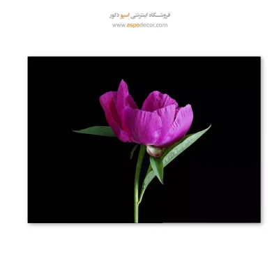 تابلو گل