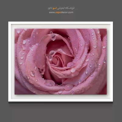 تابلو اتاق خواب دخترانه - ماکرو گل رز – تابلو گل - اسپو دکور