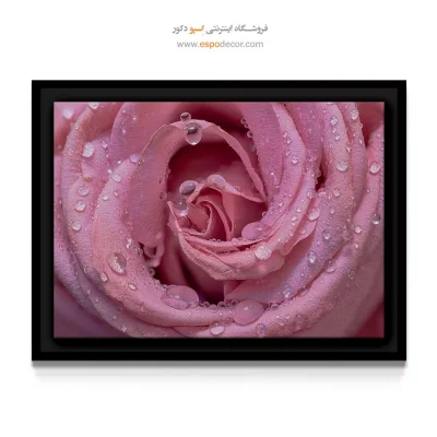 تابلو اتاق خواب دخترانه - ماکرو گل رز – تابلو گل - اسپو دکور