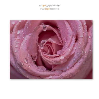 تابلو گل