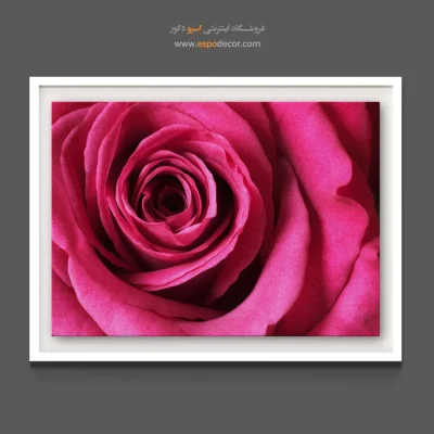 تابلو اتاق خواب‌ زوج - رز سرخابی – تابلو گل - اسپو دکور