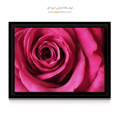 تابلو اتاق خواب‌ زوج - رز سرخابی – تابلو گل - اسپو دکور