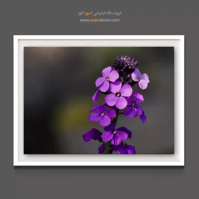 تابلو دیواری مناسب برای راهرو - اریسیوم  – تابلو گل - اسپو دکور