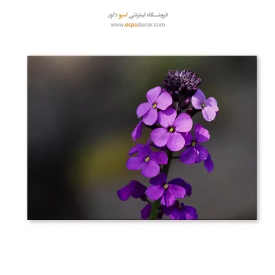 تابلو دیواری مناسب برای راهرو - اریسیوم  – تابلو گل - اسپو دکور