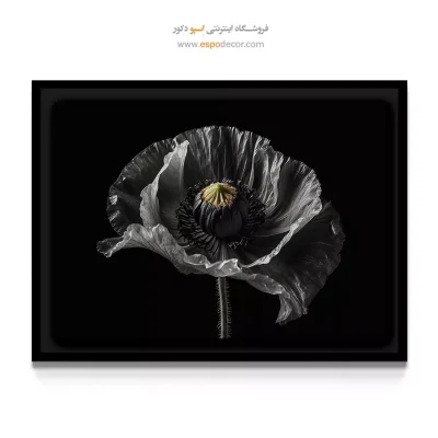 خرید تابلو گل مدرن - شقایق نقره‌ای – تابلو گل - اسپو دکور