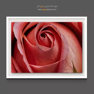 تابلو اتاق خواب عروس - رز صورتی/هلویی – تابلو گل - اسپو دکور