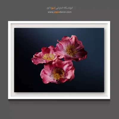 خرید تابلو بوم آرایشگاه - سه گل شقایق – تابلو گل - اسپو دکور