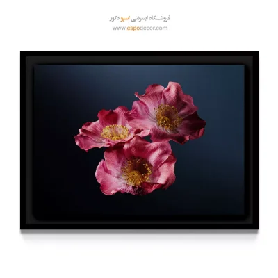خرید تابلو بوم آرایشگاه - سه گل شقایق – تابلو گل - اسپو دکور