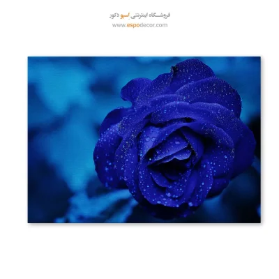 تابلو گل