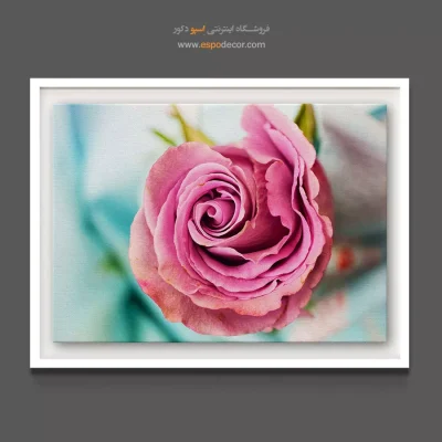 تابلو دکوراتیو برای مطب - رز صورتی/ بنفش – تابلو گل - اسپو دکور