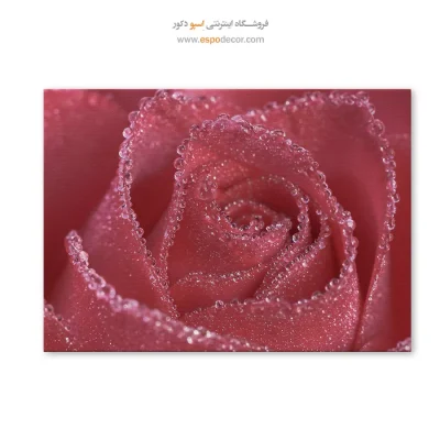 تابلو گل
