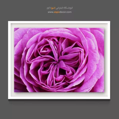 خرید تابلو بوتیک زنانه - رز مخملی – تابلو گل - اسپو دکور