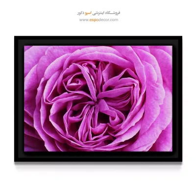 خرید تابلو بوتیک زنانه - رز مخملی – تابلو گل - اسپو دکور