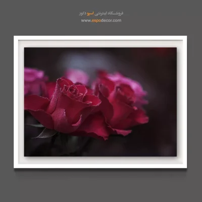 تابلو اتاق خواب لوکس - رز سرخابی تیره – تابلو گل - اسپو دکور