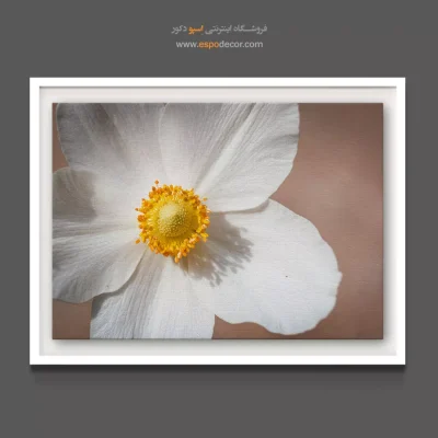 خرید تابلو بوم فضاهای اداری - گل شقایق سفید – تابلو گل - اسپو دکور