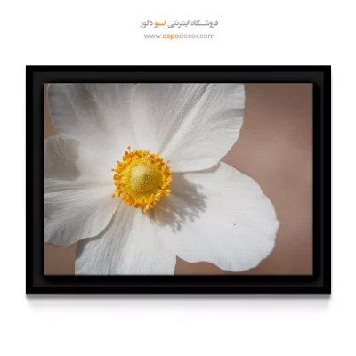 خرید تابلو بوم فضاهای اداری - گل شقایق سفید – تابلو گل - اسپو دکور