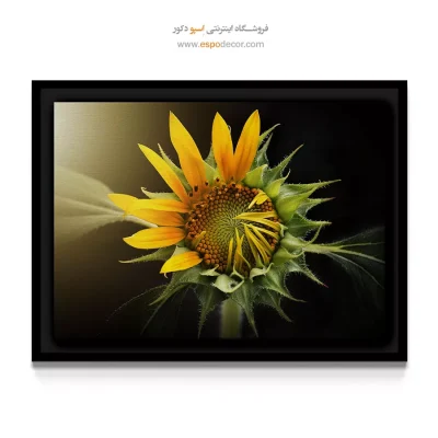خرید تابلو دکوراتیو آفتابگردان - شکفتن آفتابگردان – تابلو گل - اسپو دکور