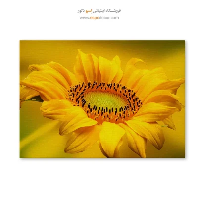 تابلو گل