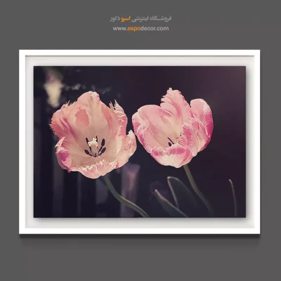 خرید تابلو برای سالن عروس - دو غنچه لاله صورتی – تابلو گل - اسپو دکور