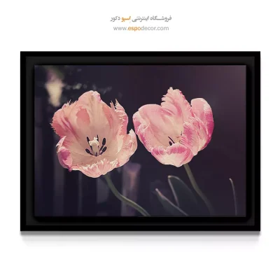 خرید تابلو برای سالن عروس - دو غنچه لاله صورتی – تابلو گل - اسپو دکور