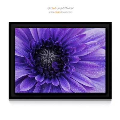 خرید تابلو دکوراتیو گل بنفش - کوکب ویولت – تابلو گل - اسپو دکور