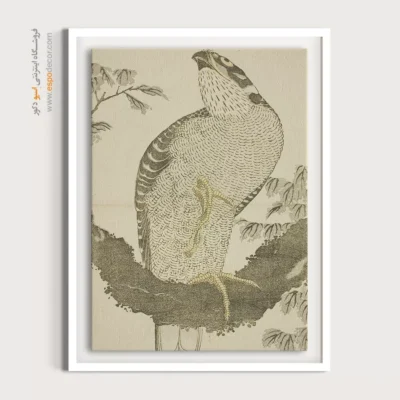 خرید تابلو بوم مدرن - شاهین – تابلو نقاشی هوکوسای - اسپو دکور