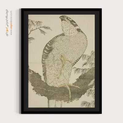 خرید تابلو بوم مدرن - شاهین – تابلو نقاشی هوکوسای - اسپو دکور