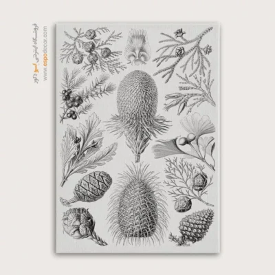 تابلو جانوران دریایی - اسپو دکور