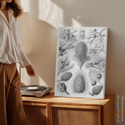 تابلو جانوران دریایی - اسپو دکور