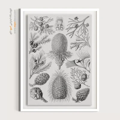 تابلو جانوران دریایی - اسپو دکور