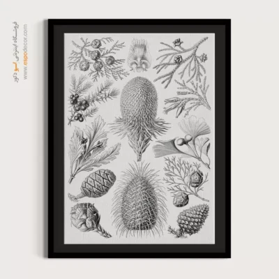 تابلو جانوران دریایی - اسپو دکور