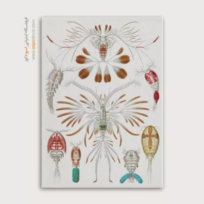 تابلو جانوران دریایی - اسپو دکور