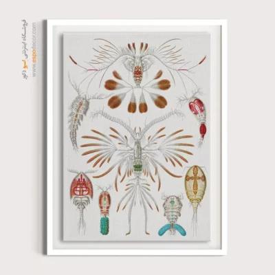 تابلو جانوران دریایی - اسپو دکور