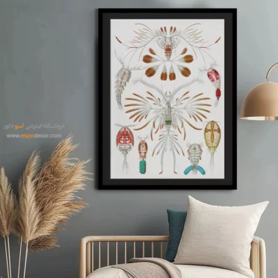 تابلو جانوران دریایی - اسپو دکور