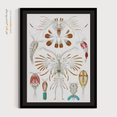 تابلو جانوران دریایی - اسپو دکور