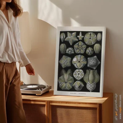 تابلو جانوران دریایی - اسپو دکور