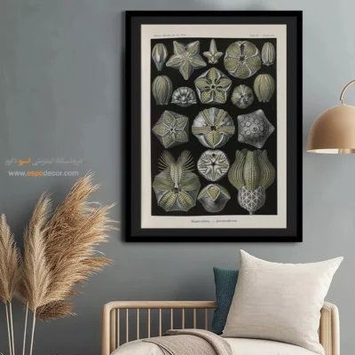 تابلو جانوران دریایی - اسپو دکور