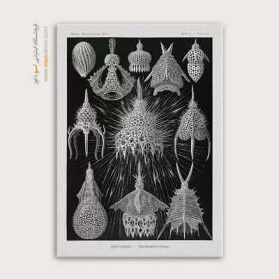 تابلو جانوران دریایی - اسپو دکور