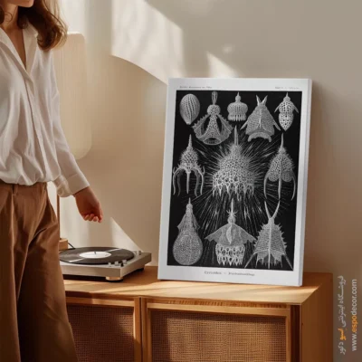 تابلو جانوران دریایی - اسپو دکور