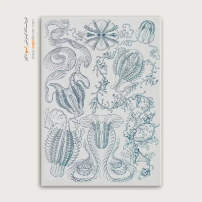 تابلو جانوران دریایی - اسپو دکور