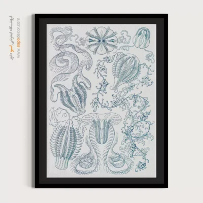 تابلو جانوران دریایی - اسپو دکور