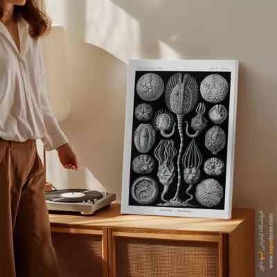 تابلو جانوران دریایی - اسپو دکور