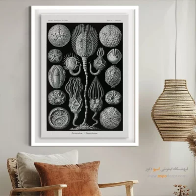 تابلو جانوران دریایی - اسپو دکور