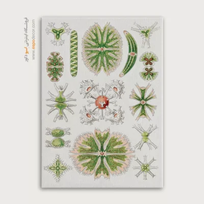 تابلو جانوران دریایی - اسپو دکور