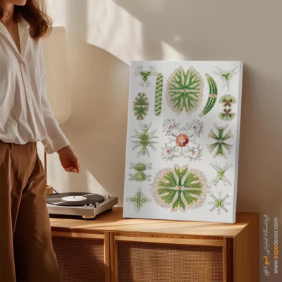 تابلو جانوران دریایی - اسپو دکور