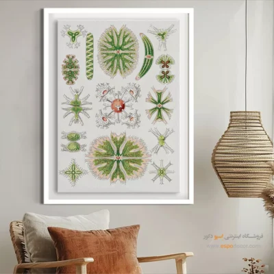 تابلو جانوران دریایی - اسپو دکور